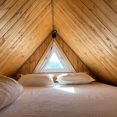 Bereke Kolsay Resort Saty Екстер'єр фото